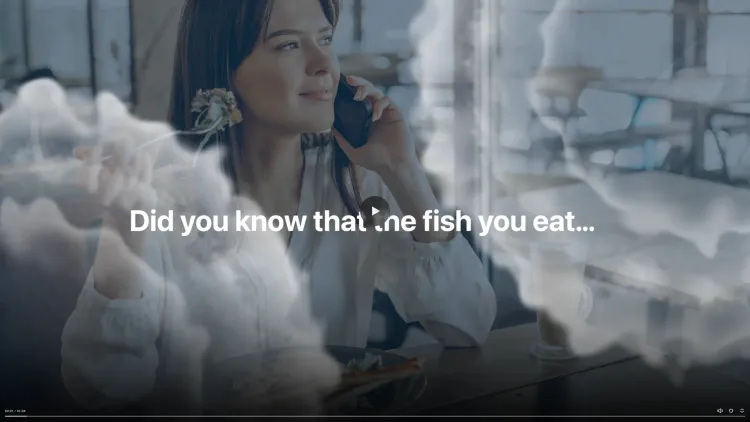 Fishing the Catastrophe Animation